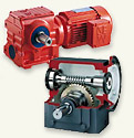 Gear Motors & 